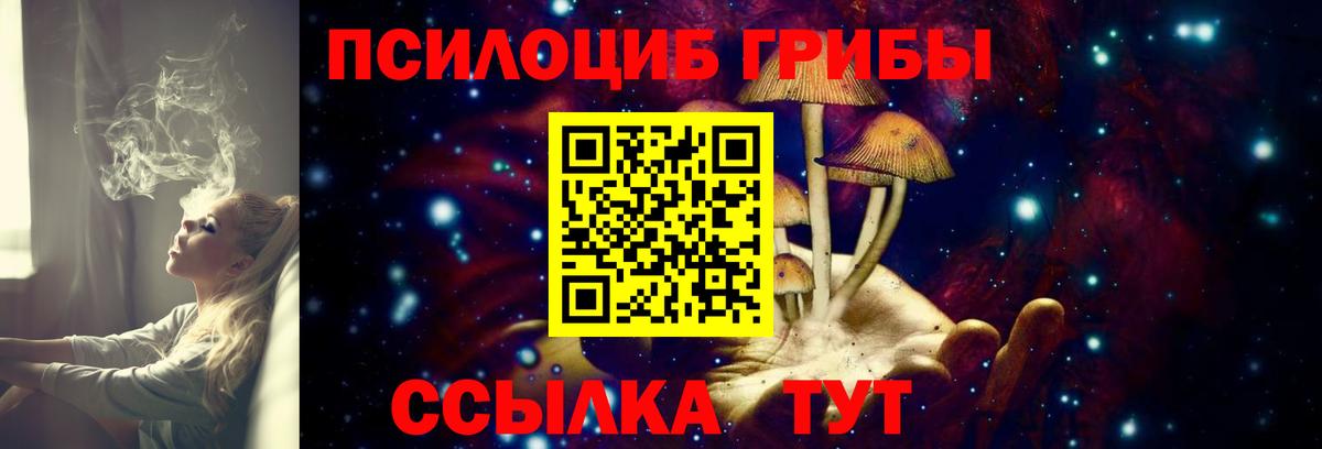 Котовск  Галлюциногенные грибы ЛСД  Вход с VPN  Псилоцибиновые грибы Psilocybine cubensis 